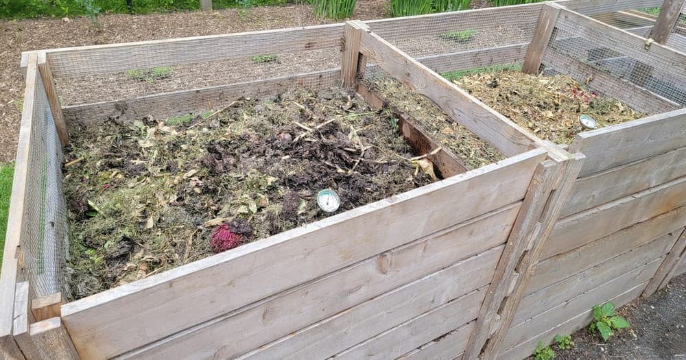 Imagen del artículo: Jardín sostenible paso a paso